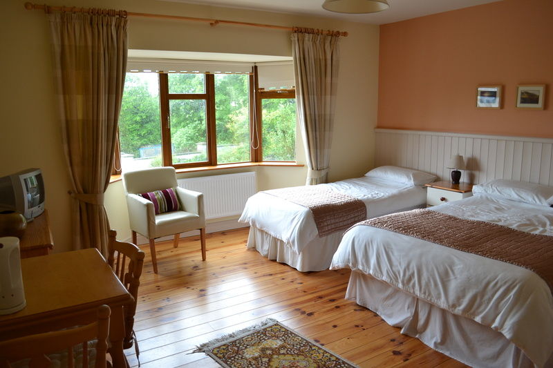 Ard Na Coille Hotel Tralee Kültér fotó